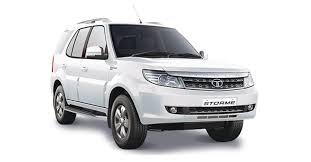 safaristorme