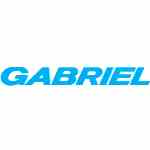 Gabriel India Ltd - Auto Industry News